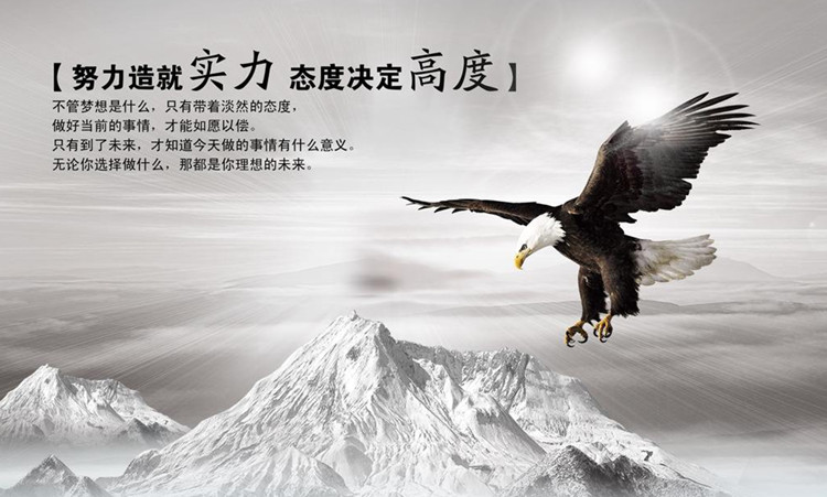 Lexin公司的企業文化:努力造就實力,態度決定高度